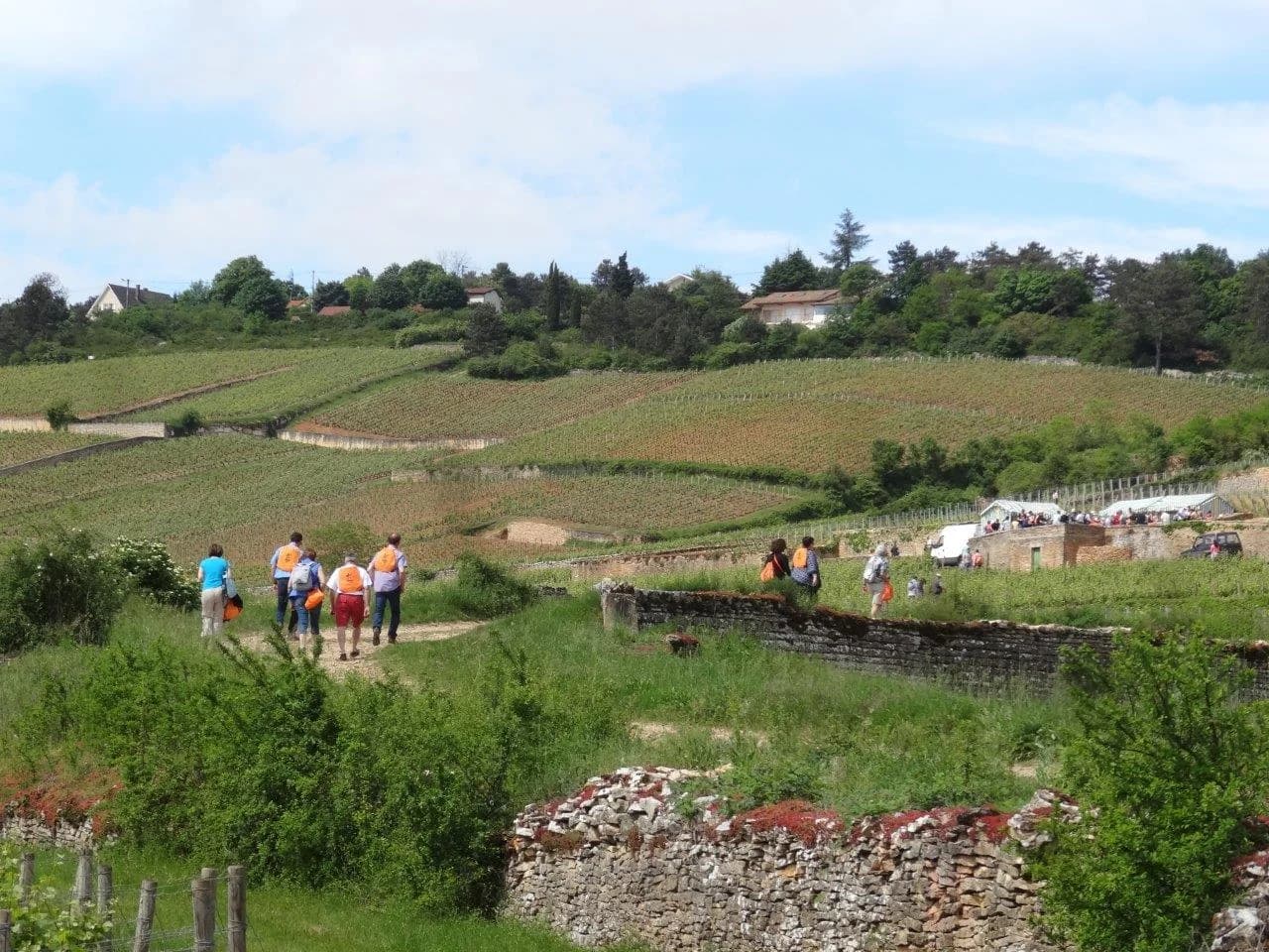 Beaune Saveurs de Vignes 2026