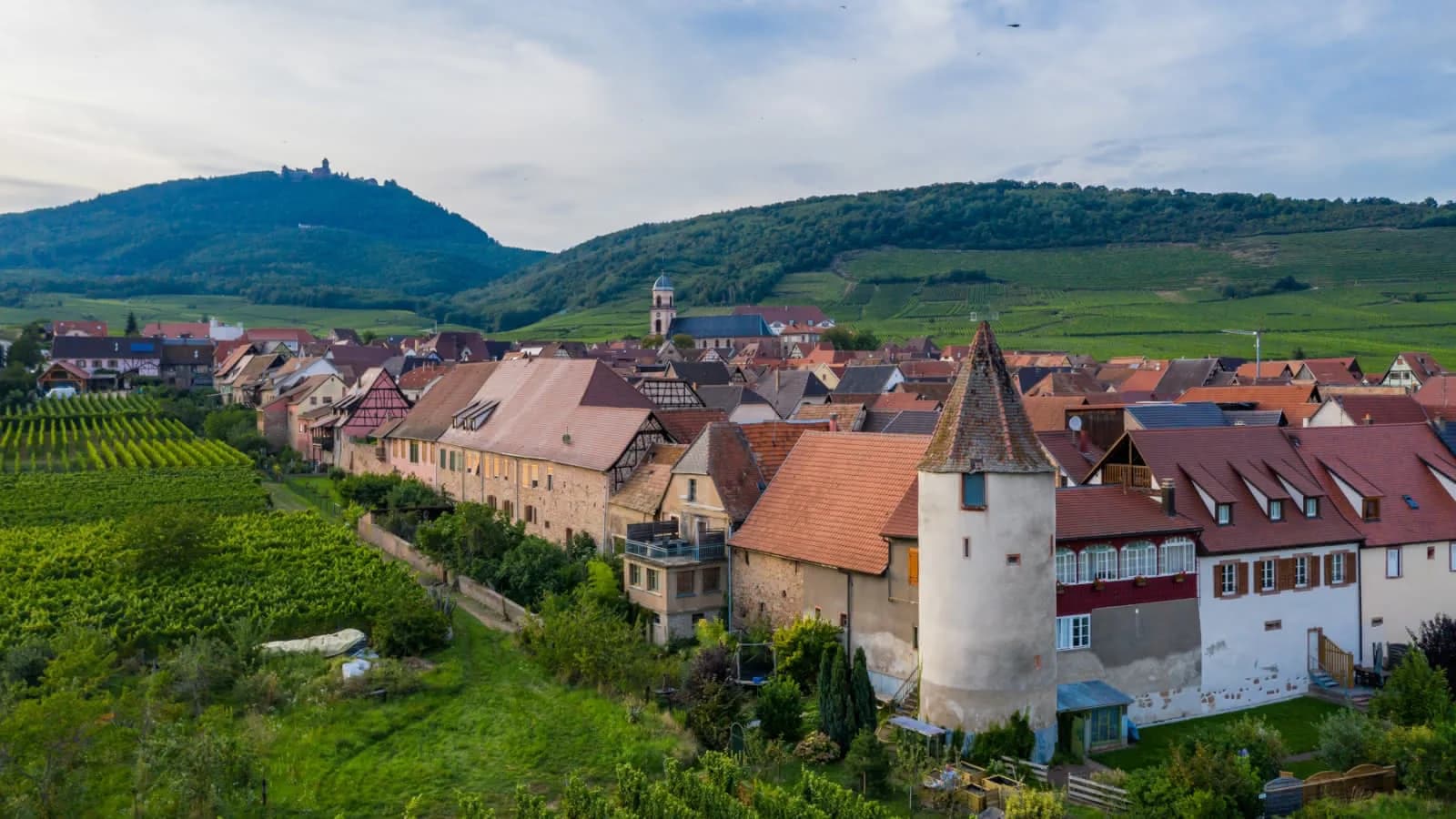 Marche Gourmande de Saint-Hippolyte 2026
