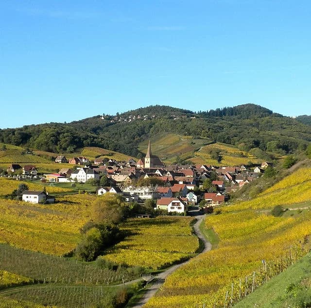 Balade Gourmande de Niedermorschwihr 2026